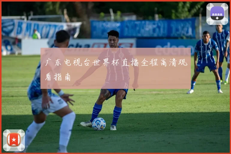 广东电视台世界杯直播全程高清观看指南